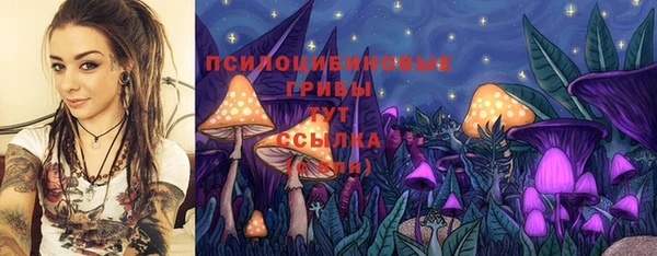альфа пвп Туринск