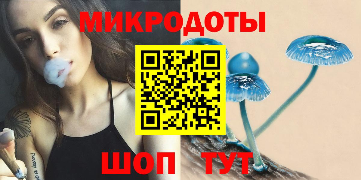 Волхов  Галлюциногенные грибы прущие грибы  Вход с VPN 
